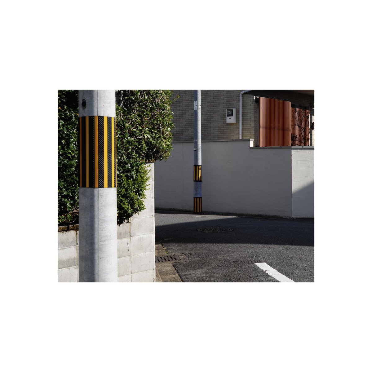 keita_miwa_'s tweet image. VIVID

#LeicaT