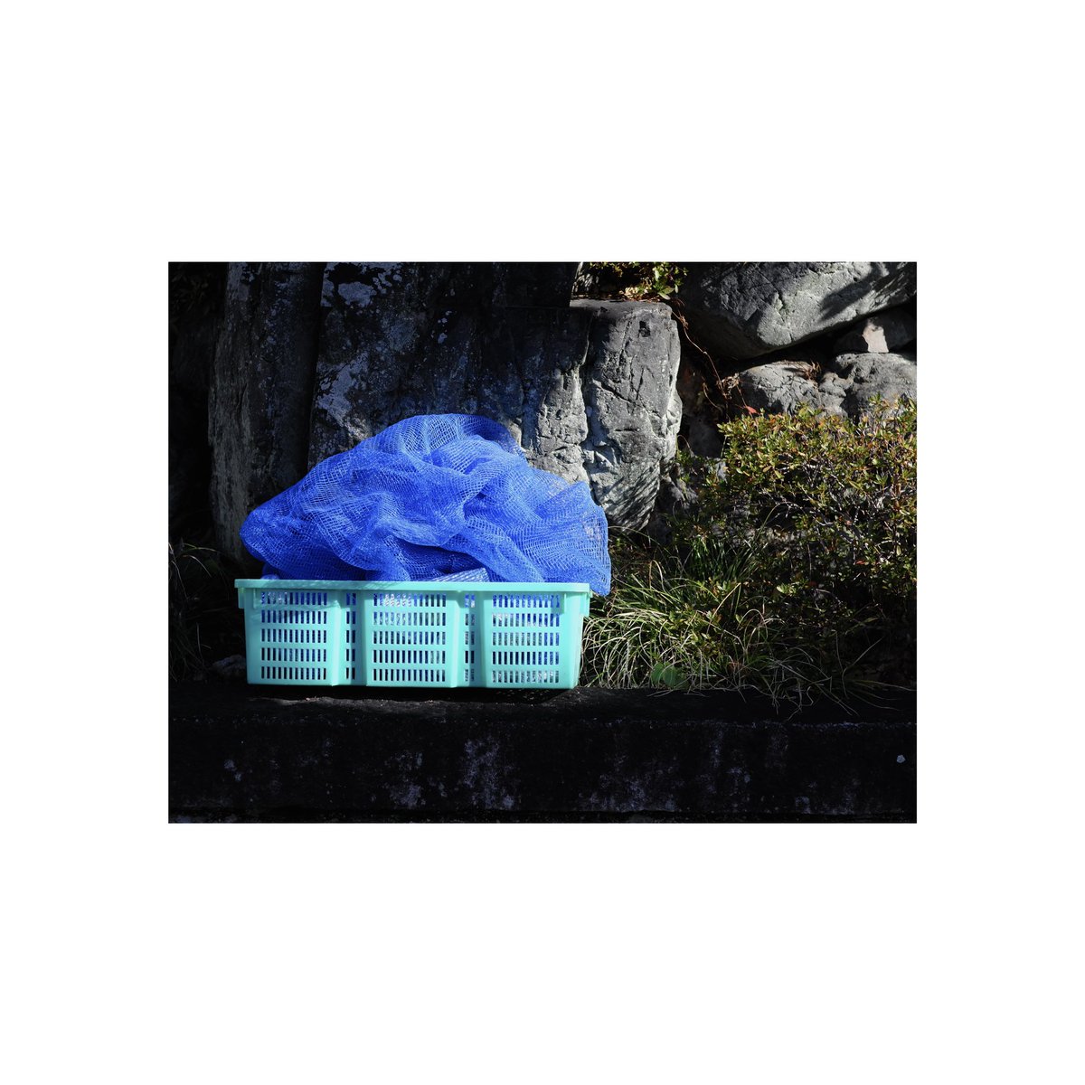 keita_miwa_'s tweet image. VIVID

#LeicaT