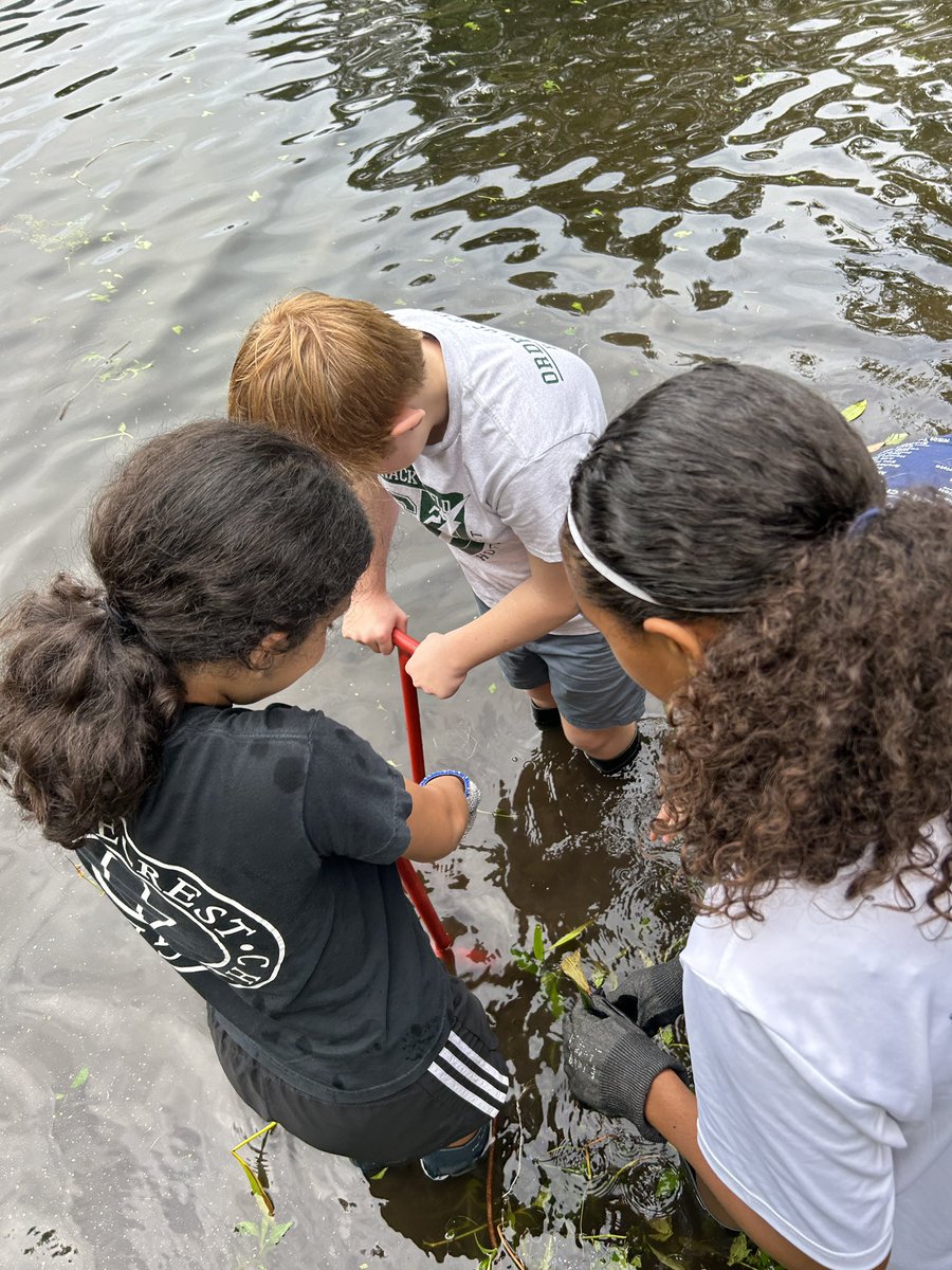 kJeakleSci's tweet photo. Thank you to Ranger Simmons from Moccasin Lake Park and Tara from Tampa Bay Watch for allowing our students @shorecrest to transplant plants from our nursery to their natural environment. The students had a great time even with rain and wet boots! @TampaBayWatch https://t.co/Yc1w4sz4Vq