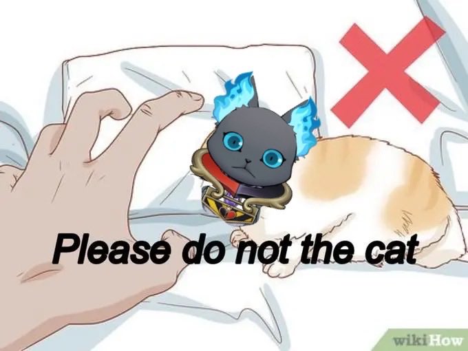 grimothy t. esq. tweet media