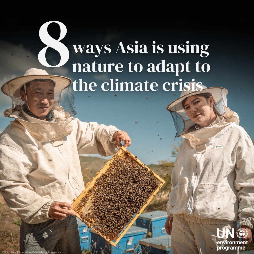 Leaders are meeting in Malaysia this week for the #APClimateWeek to explore solutions to the most pressing climatic issues facing the region.

Discover 8 projects that are leading by example and embracing nature-based solutions in the Asia-Pacific: unep.org/news-and-stori…
