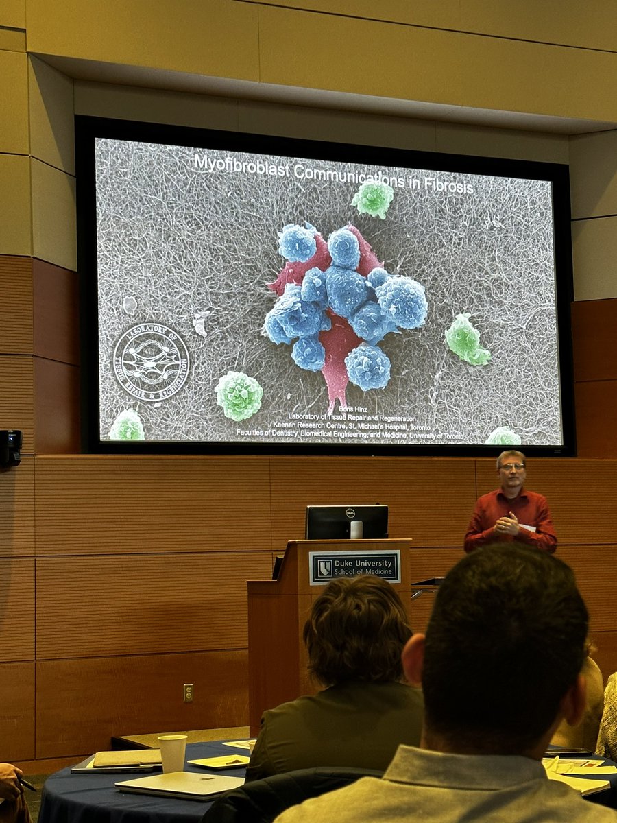 Dr. Boris Hinz from the University of Toronto talking about the communication of myofibroblasts in pulmonary fibrosis. #CureIPF #Kaganov @DukePACC @DukeEngineering @DukeMedSchool