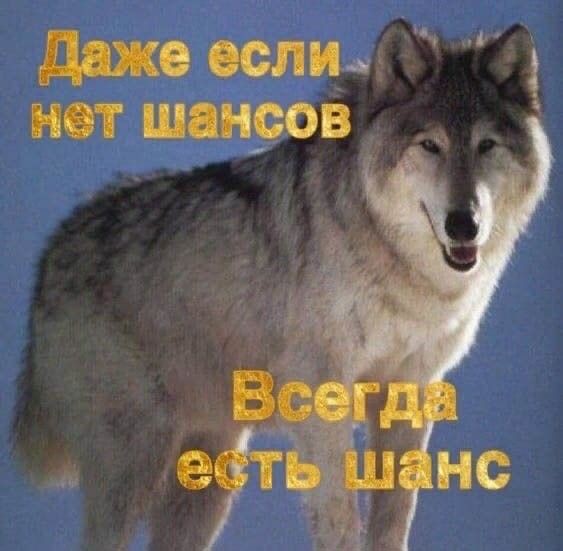 TKudryash's tweet photo. до релиза Фурины думала, что попытаю удачу и выкручу (по внешнему виду зашла + гидро персонажей не хватает), но увидев пачки поняла, что не смогу её толково применить, ибо нет подходящего хилла..

уже 200 круток, жду двух персов и мб кому-то откручу сигну https://t.co/bQvtPiKXhz