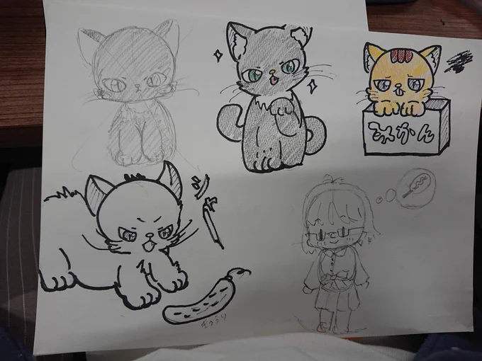 作業所で描いてた猫ちゃん達