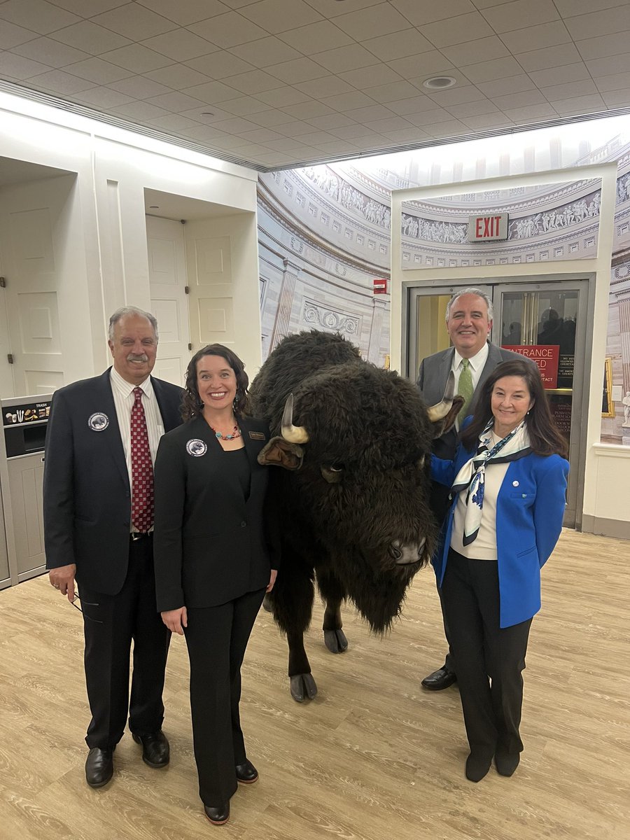 TheWCS's tweet photo. “Humans can do a lot of destruction but can also come together to save bison and our planet,” WCS @MonicaMedinaDC, celebrating on Capitol Hill the conservation story of bison our #NationalMammal w/ @NationalBison Lydia Whitman, @ITBCBuffNation George Waters, and WCS @JohnCalvelli https://t.co/HM3KGhx9NM