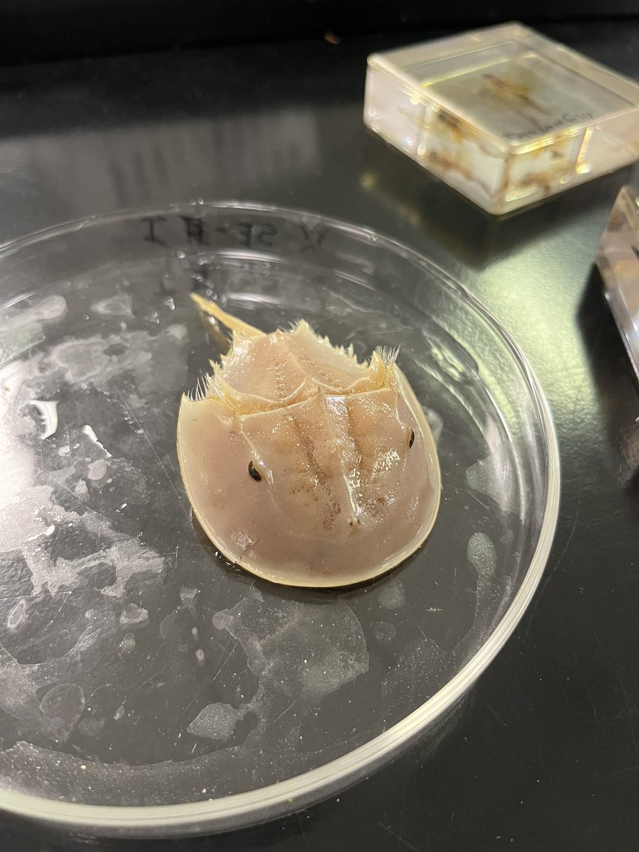 theoricality's tweet photo. #ecologylab https://t.co/Ag1TKpl4NM