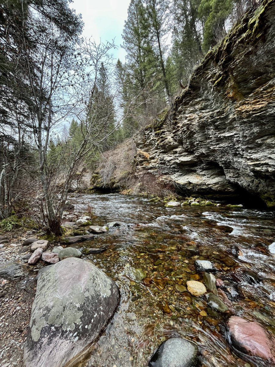 sallymauk's tweet photo. Ran into a dude on the trail today wearing a huge camera (and no bear spray) who said he was “hoping for a bear encounter”.
I think he’s new to the area.
#bebearaware https://t.co/u2e4N6i7xP