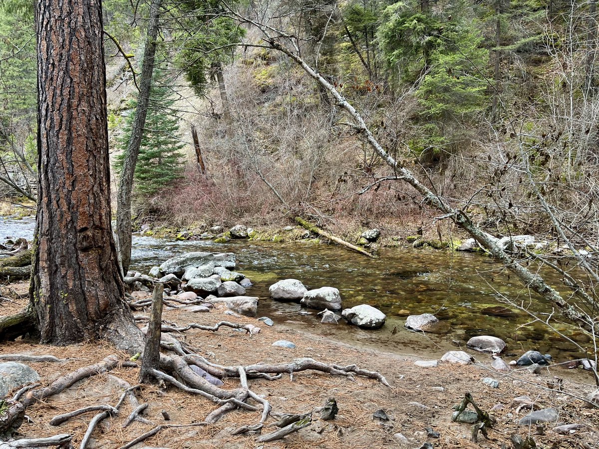 sallymauk's tweet photo. Ran into a dude on the trail today wearing a huge camera (and no bear spray) who said he was “hoping for a bear encounter”.
I think he’s new to the area.
#bebearaware https://t.co/u2e4N6i7xP
