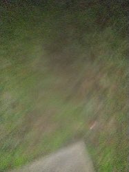 JessicaASmith33's tweet photo. @UPS just delivered a package to us tonight. here’s the picture they took as proof of delivery. Walked all around our house, neighbors don’t have it either. https://t.co/277ChSsoM3
