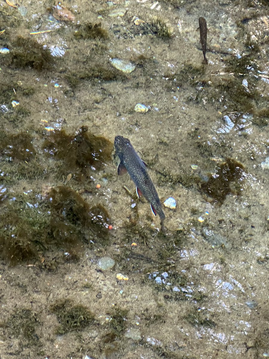 おはようこざいます！

竹中平蔵氏「日本人の生活はそんなに苦しくなってないのに騒ぎすぎ。もっと頑張れ」

状況が悪化してるから声を上げているんだと思う。
 #おは戦51116nm 
 #企業公式が朝の挨拶をいいあう 
 #企業公式相互フォロー祭り