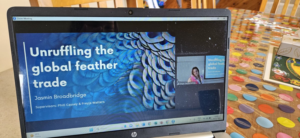 Charlie Lassaline tweet media