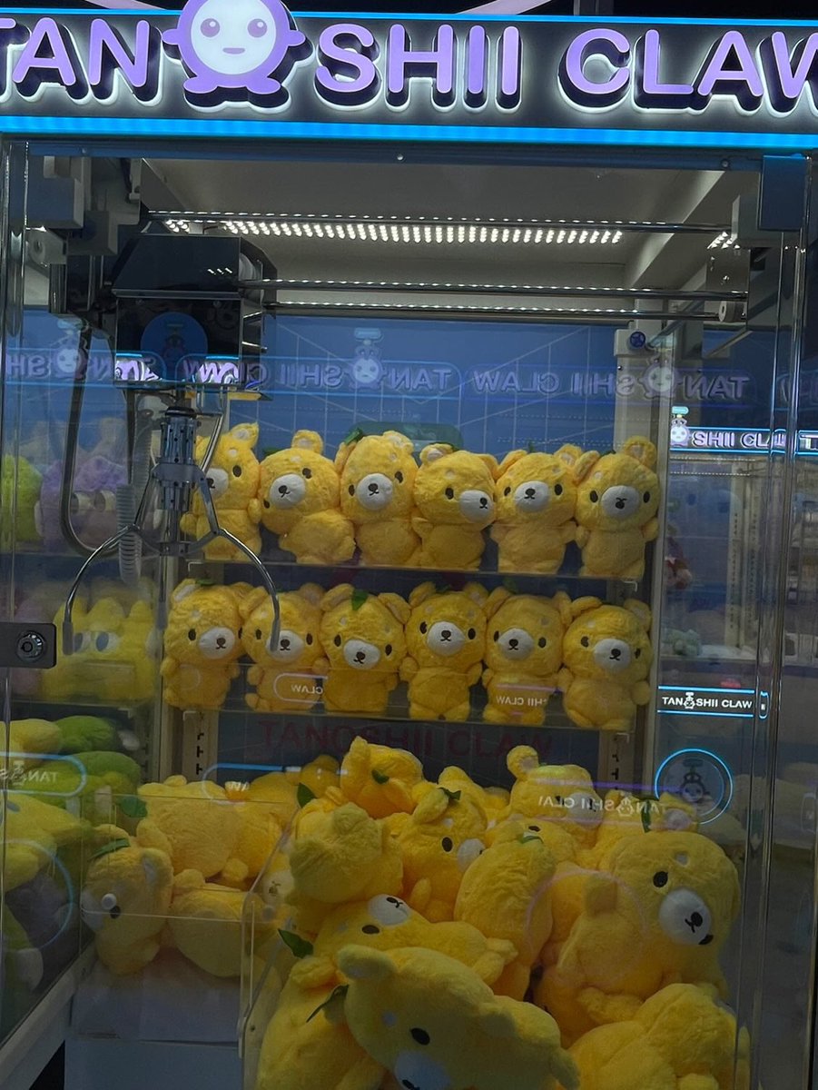 FUJIBEE ♡ ◕ᴥ◕ tweet media
