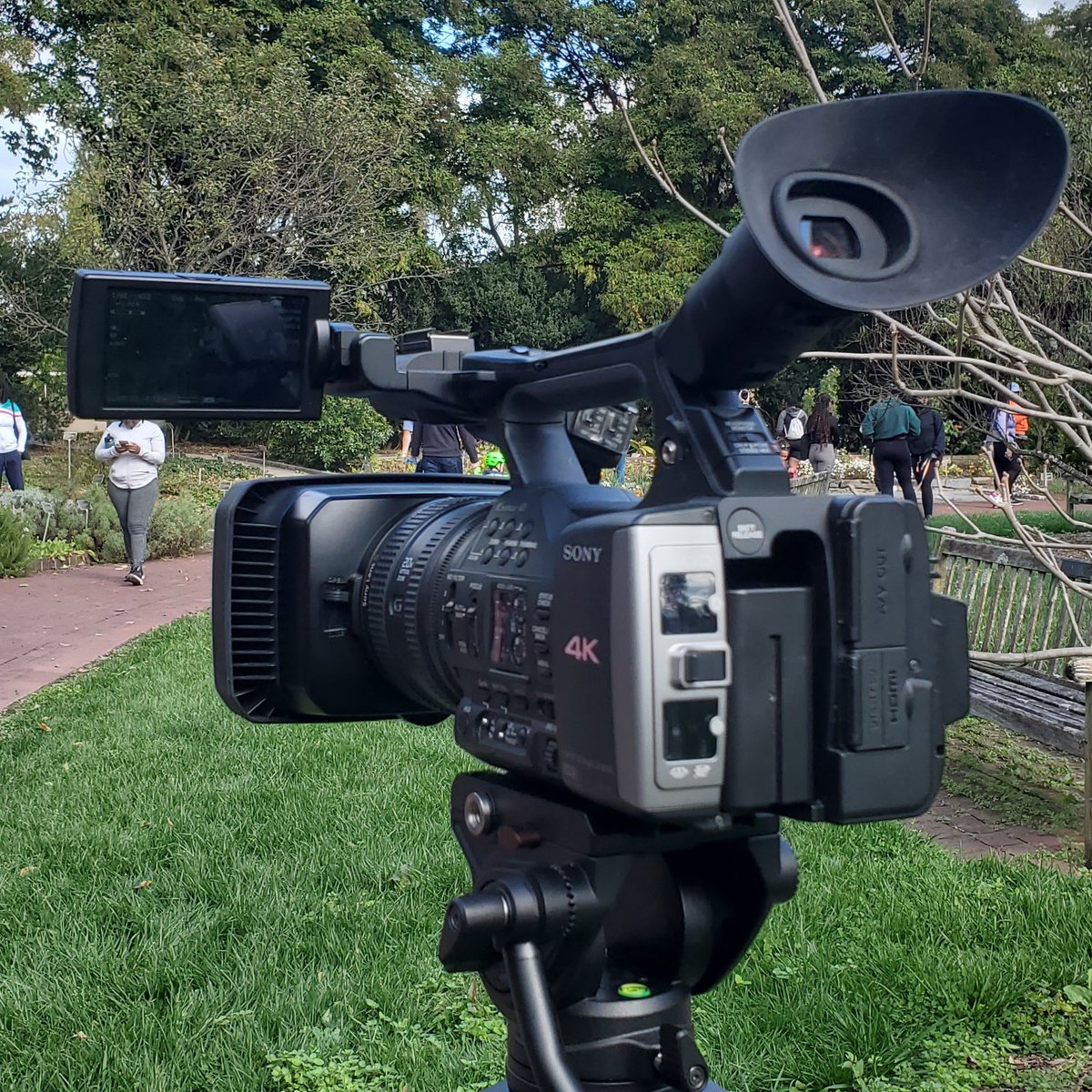 CamachoAlisha's tweet photo. What do ice hockey and videography have in common? Lugging all that gear. 

Running around the National Arboretum, tripod over my shoulder, camera in hand &amp; audio equipment on my other shoulder brought me back to my goalie days. Except I was in shape then😅

@AlannaKopania #j603a https://t.co/n8aZLhYf48