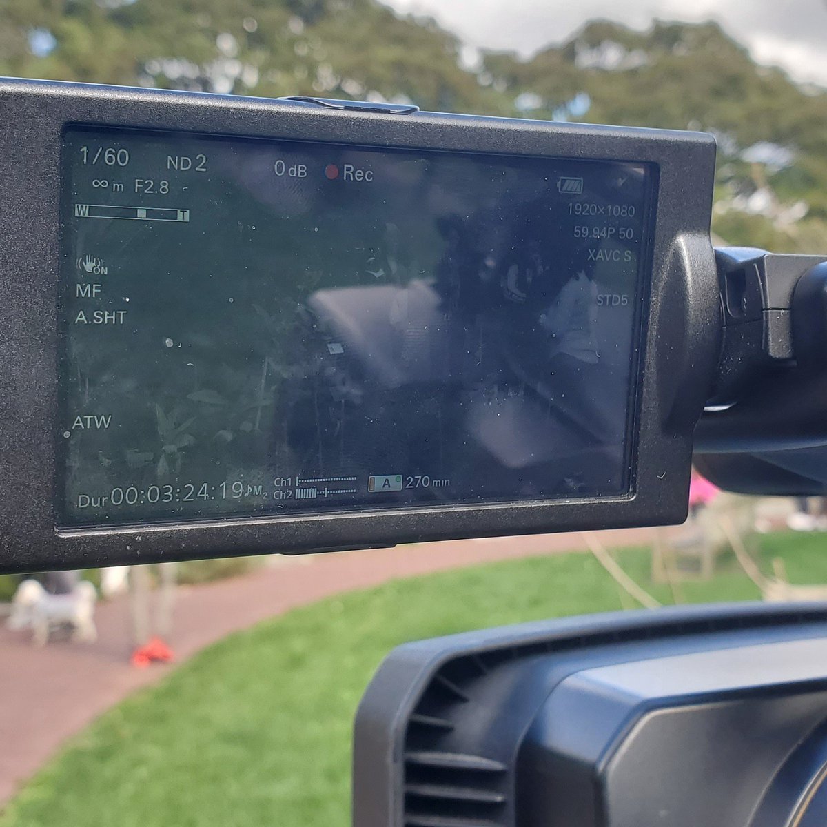 CamachoAlisha's tweet photo. What do ice hockey and videography have in common? Lugging all that gear. 

Running around the National Arboretum, tripod over my shoulder, camera in hand &amp; audio equipment on my other shoulder brought me back to my goalie days. Except I was in shape then😅

@AlannaKopania #j603a https://t.co/n8aZLhYf48