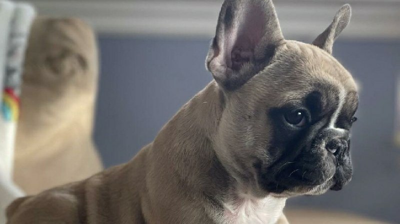 Please support my GoFundMe campaign: gofund.me/c1d0383d #GoFundMe