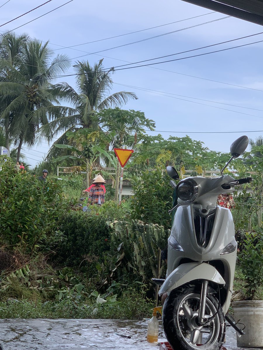 nkngoc94's tweet photo. Miền Tây quê em🥰
Thiên nhiên cỏ cây luôn chào đón chúng ta,chỉ có con người là luôn thay đổi và đối xử tệ với muôn loài.
Gm mn nhé🌞🌷🌻 https://t.co/ebZdjROGi6
