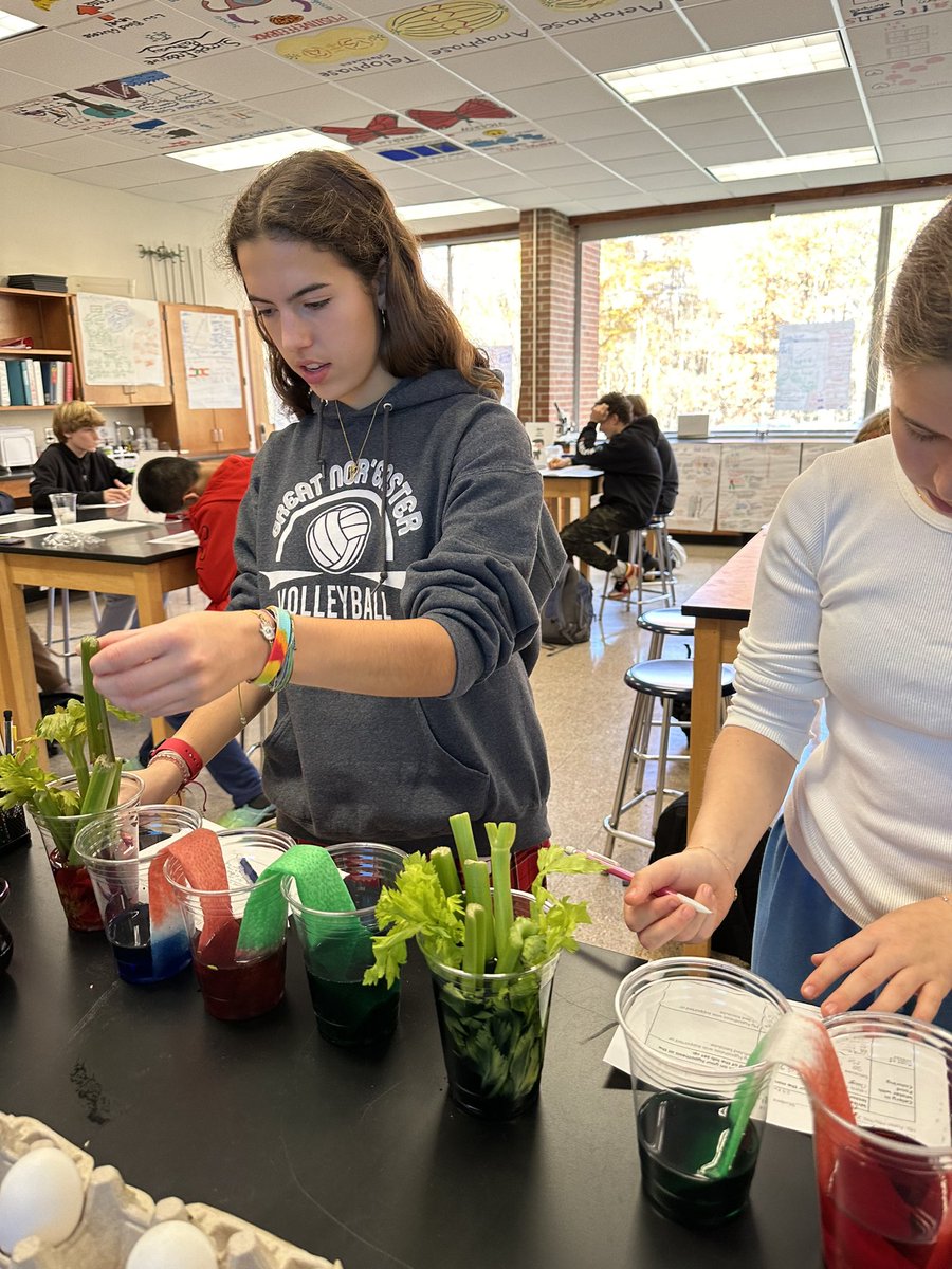 PriyaPatelMa's tweet photo. This week in #LivingEnvironment itโs #ModelMania to grasp the concepts of #osmosis and #diffusion-from paper towels, to plant tissue to the shell-less egg lab.
This is inspired by the @STANYSorg workshops using MULTIPLE models to create multiple entry points to access content. https://t.co/1IvB8HGqYf