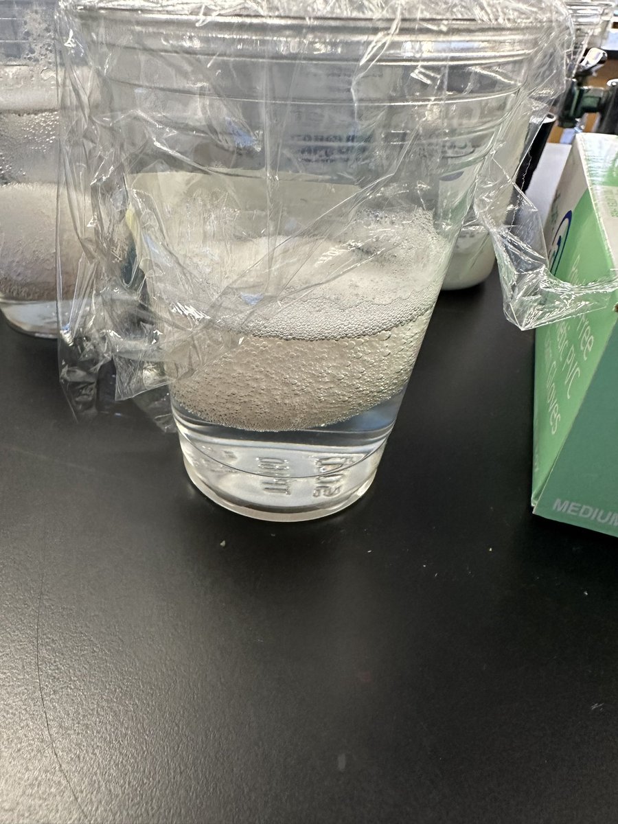 PriyaPatelMa's tweet photo. This week in #LivingEnvironment itโs #ModelMania to grasp the concepts of #osmosis and #diffusion-from paper towels, to plant tissue to the shell-less egg lab.
This is inspired by the @STANYSorg workshops using MULTIPLE models to create multiple entry points to access content. https://t.co/1IvB8HGqYf