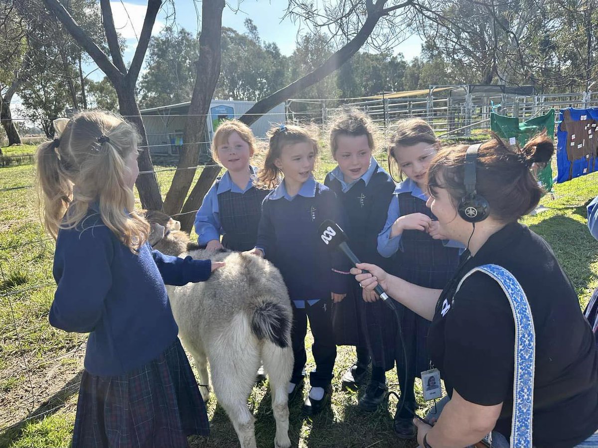 Annie Brown tweet media