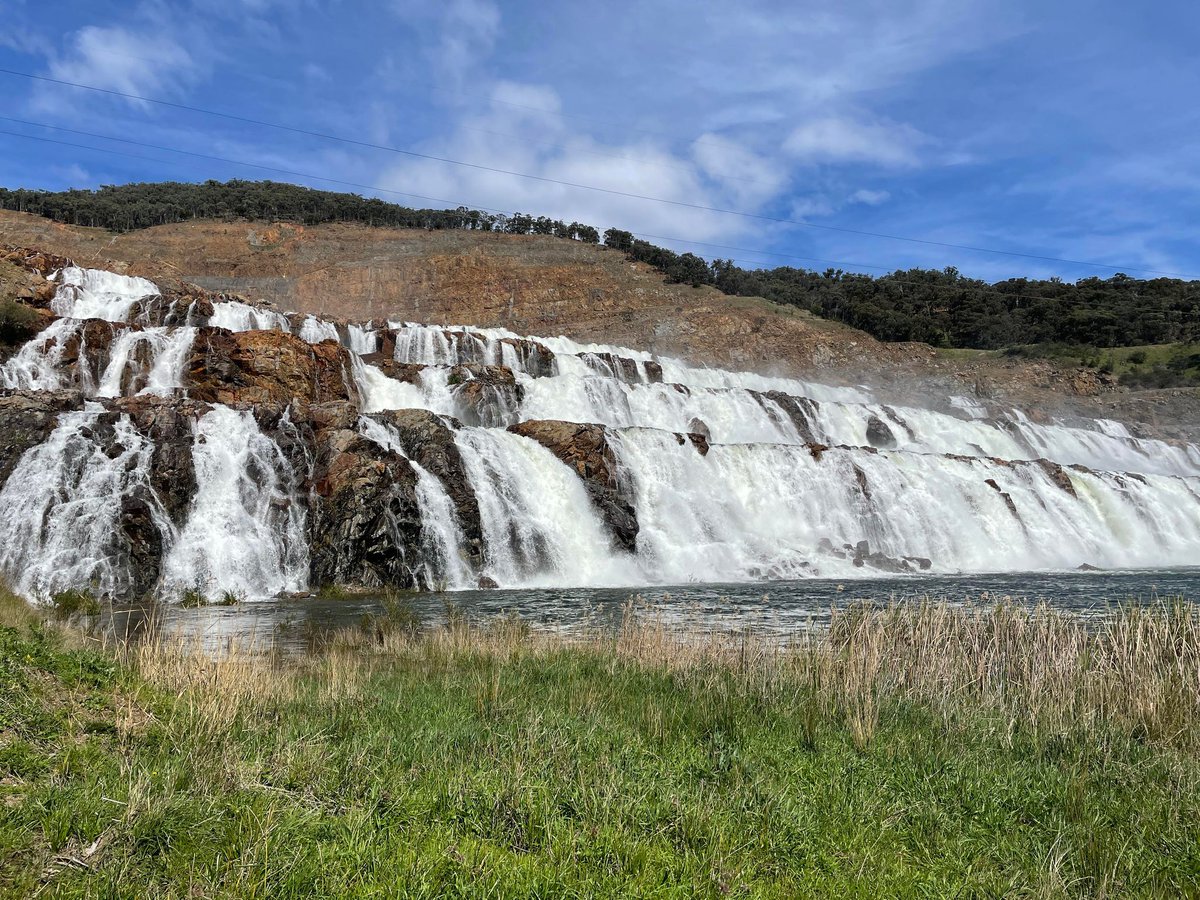 Annie Brown tweet media