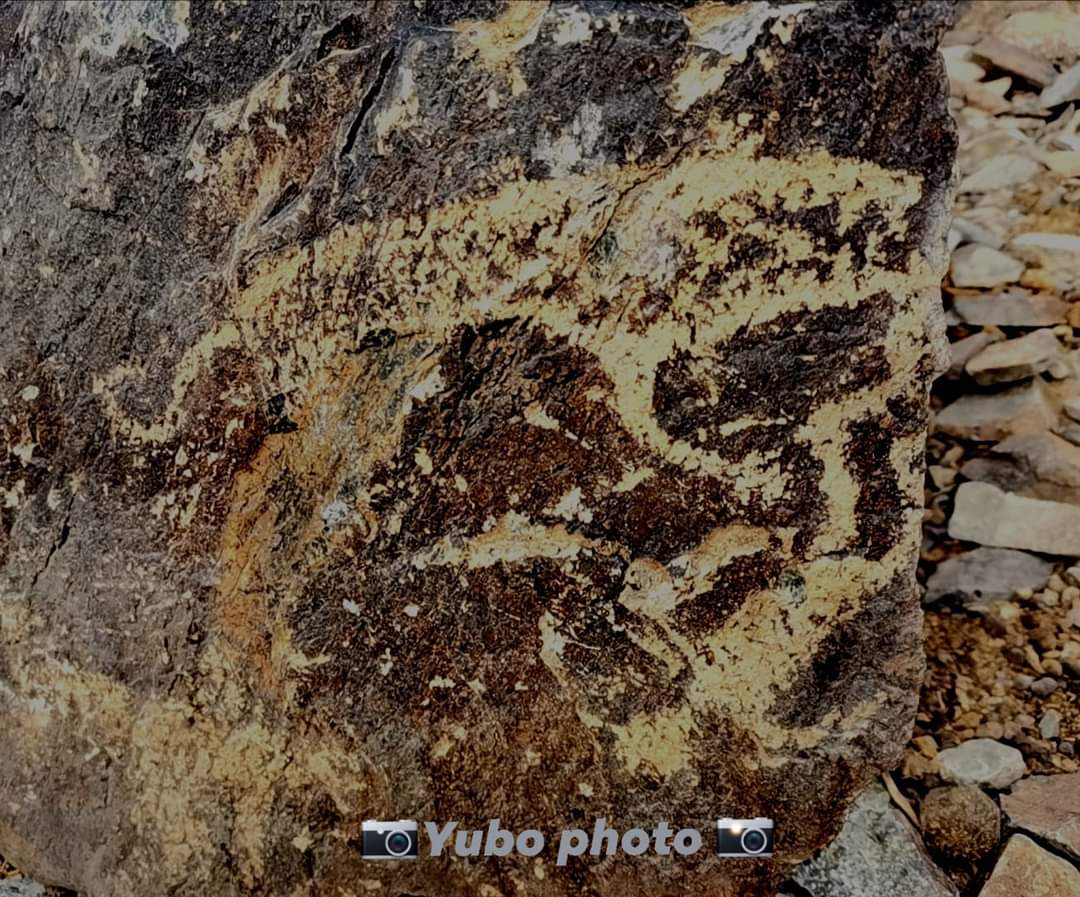 Барсанд бариулж буй хүмүүн. 
Гэрэл зургийг Ю.Болдбаатар