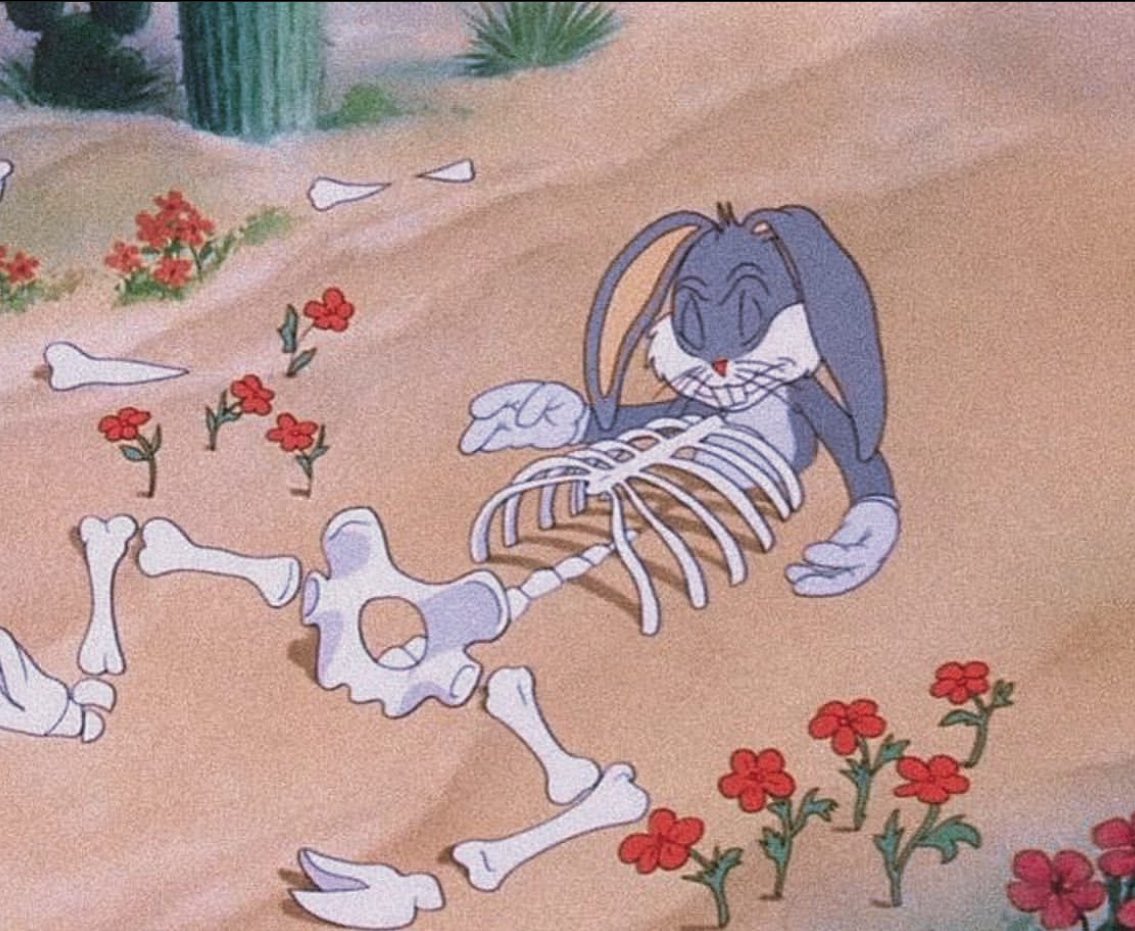 me trying to get horny on zoloft