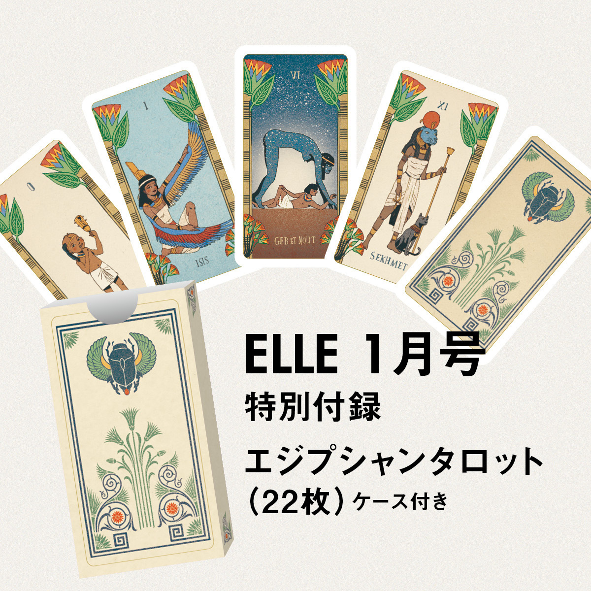表紙解禁】#アニャテイラージョイ が登場するエル1月号（11/28発売