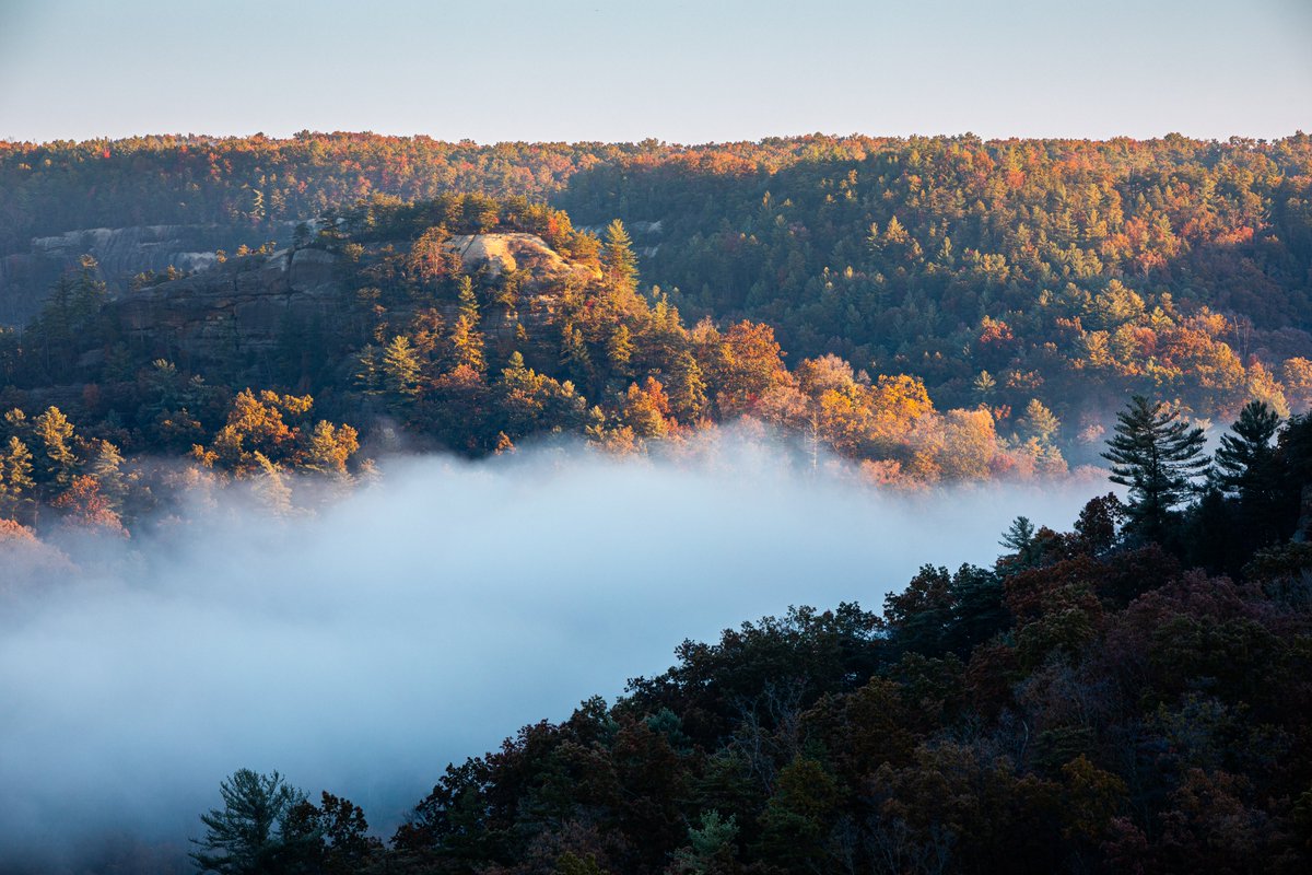 CrisRitchiePics's tweet image. A cold autumn morning in the Red River Gorge.