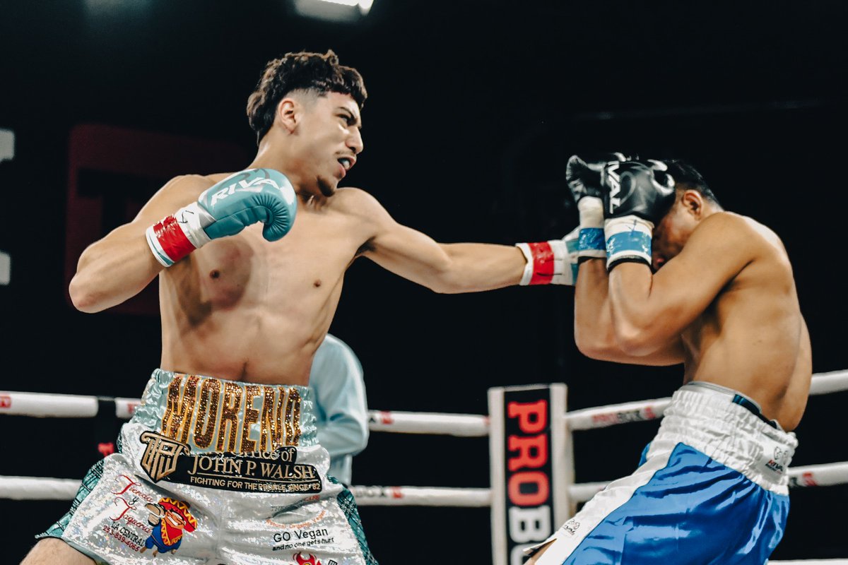 ProBoxTvEspanol's tweet photo. LA PRÓXIMA ESTRELLA MEXICANA ⭐️🇲🇽

Emiliano Moreno se dispone a demostrar que es la próxima estrella mexicana en ProBox TV 👊

Sintoniza ahora 🫵

#MiércolesdePeleas #ProBoxTV #NochedeBoxeo #BoxeoEnVivo #Boxeo #PróximaPelea #chrisalgieri #pauliemalignaggi https://t.co/rppvit59zr