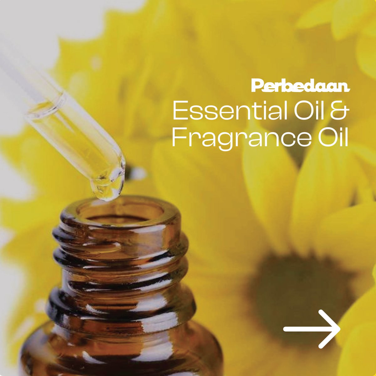 DarjeelingAroma's tweet image. Ketahui perbedaan yang mendasar antara Essential Oil dan Fragrance Oil, Yuuk!
#essentialoils #fragrance #perbedaan
