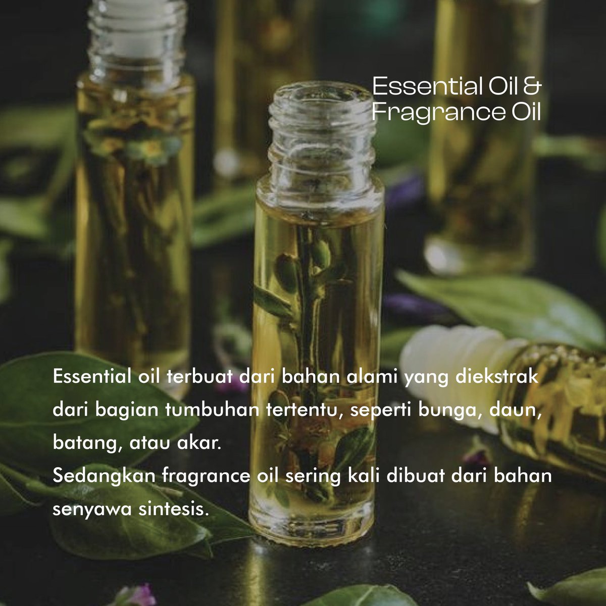 DarjeelingAroma's tweet image. Ketahui perbedaan yang mendasar antara Essential Oil dan Fragrance Oil, Yuuk!
#essentialoils #fragrance #perbedaan