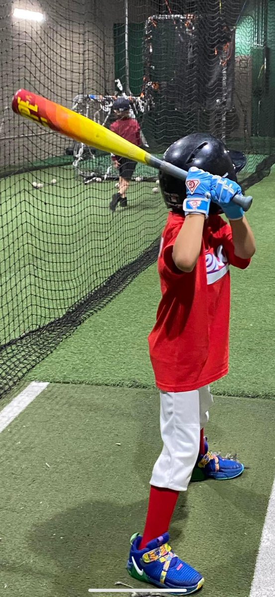 D1 Baseball Gloves tweet media