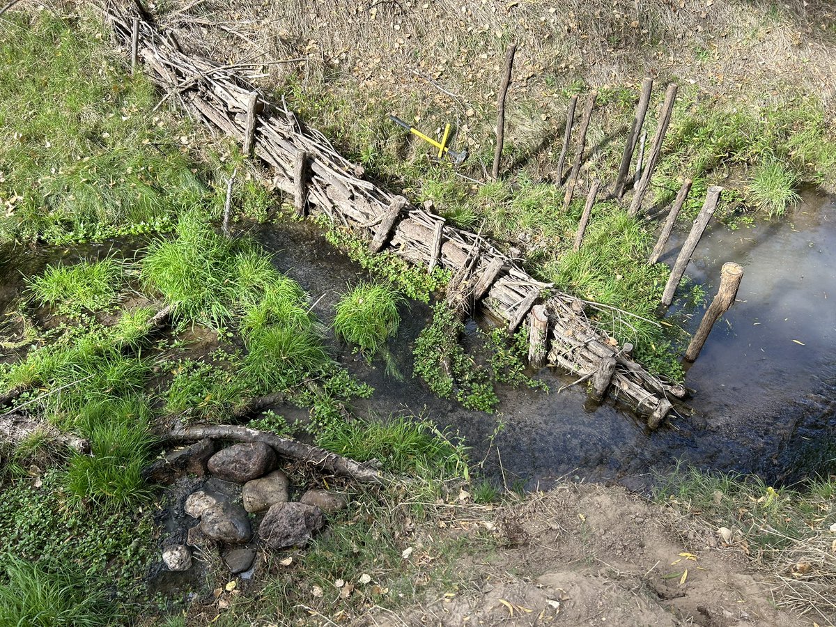 LauraxWasHere's tweet photo. Beautiful day exploring successful 1-year-old #BDAs by @azgfd & last pic is new #beaverdam π¦«proving that if you build it, they will come! #bethebeaver #nids π π§πͺ¨πͺ΅ #sticksnstones π₯° https://t.co/du3BkzoUSR