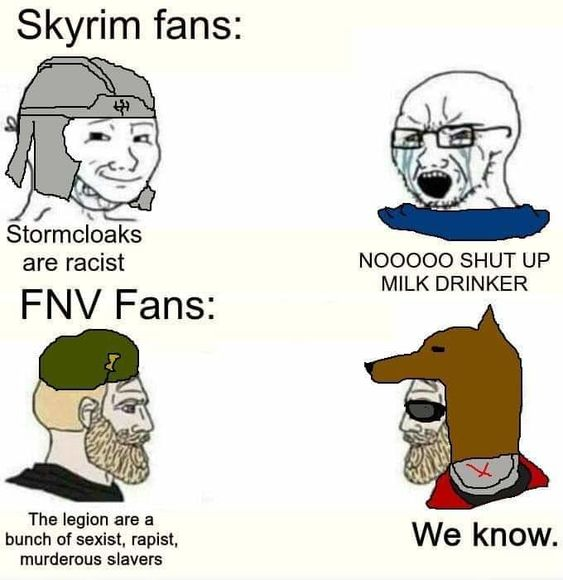What the fuck is a Skyrim.