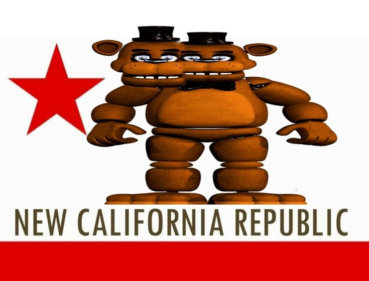 Look at this stupid fucking bear, what a loser.