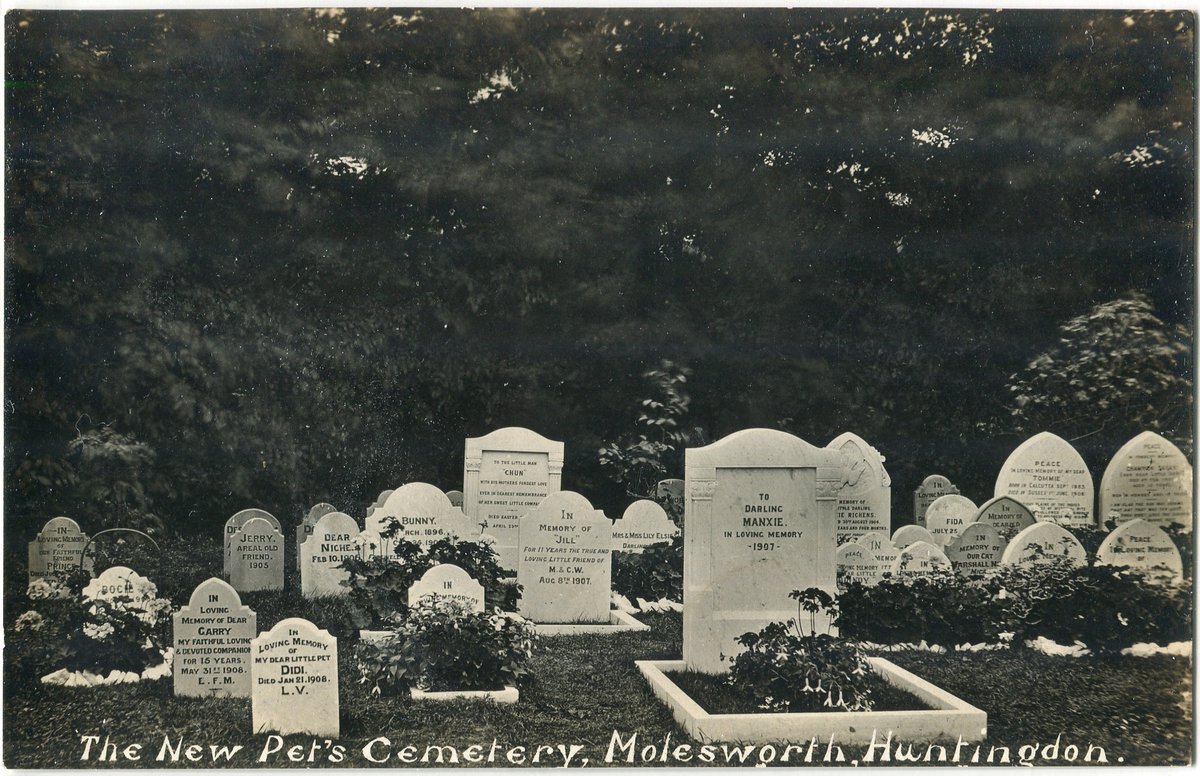 The Daily Postcard tweet media