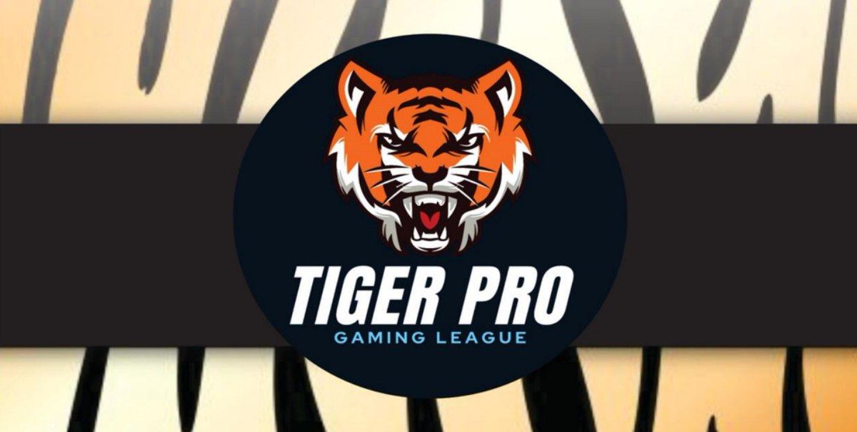 TIGER PRO tweet media