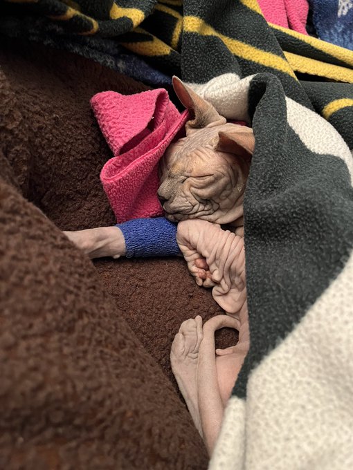 My sweet baby 🥺❤️ https://t.co/5HMUGASVM0<a href="/tag/mvsales"class="tags"><span>#mvsales</span></a>