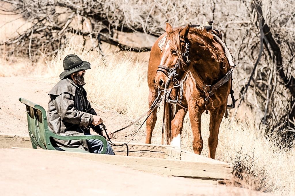 Quilla50's tweet photo. #Nightlines;Just a man and his horse..making the most…of nothing but time on his hands.He spends this time traveling the lands. https://t.co/9erI42MRHD