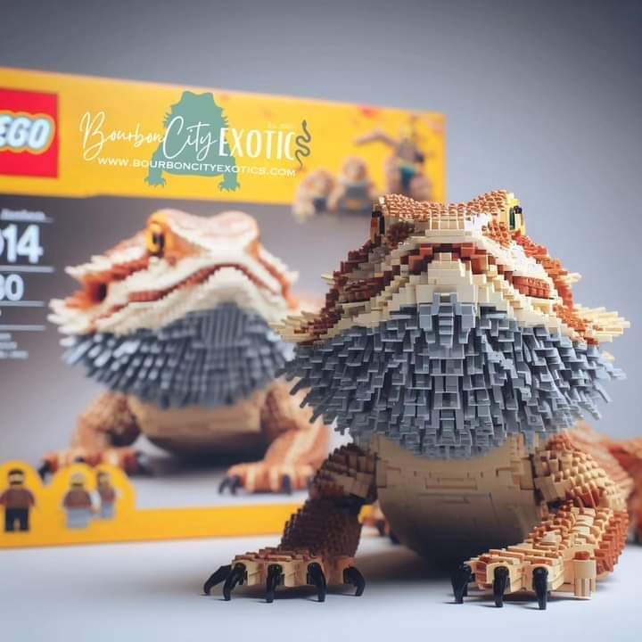 ccmonsterginger's tweet photo. @Syndicate remember Steve built your boi back https://t.co/n8zmOsZjcz