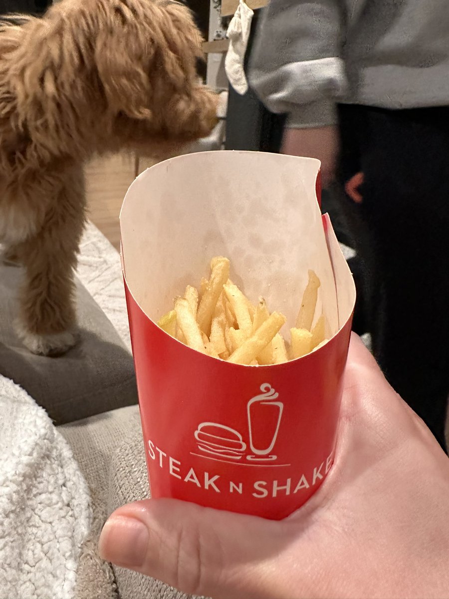 bigjendex's tweet photo. @SteaknShake thanks for the fries? https://t.co/UYETuwrgLR