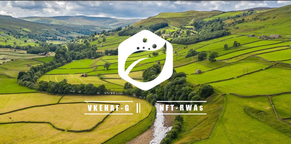 Vkenaf_G's tweet photo. 🌐NFT-RWAs: Bridging the Real World and NFT Space, Unlocking Investment Opportunities in Real Estate, Art, and Rare Items. Seamlessly Integrating Two Worlds!💡🏡#NFT #RWA #Vkenaf_G https://t.co/f24sRmRtxN