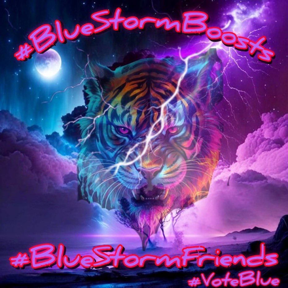 🇺🇸🦅#BlueStormComin1💙 #BlueStormFriends 🦅 tweet media
