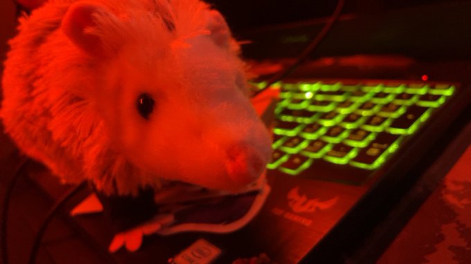 *sniff sniff* https://t.co/xafIIra6ke