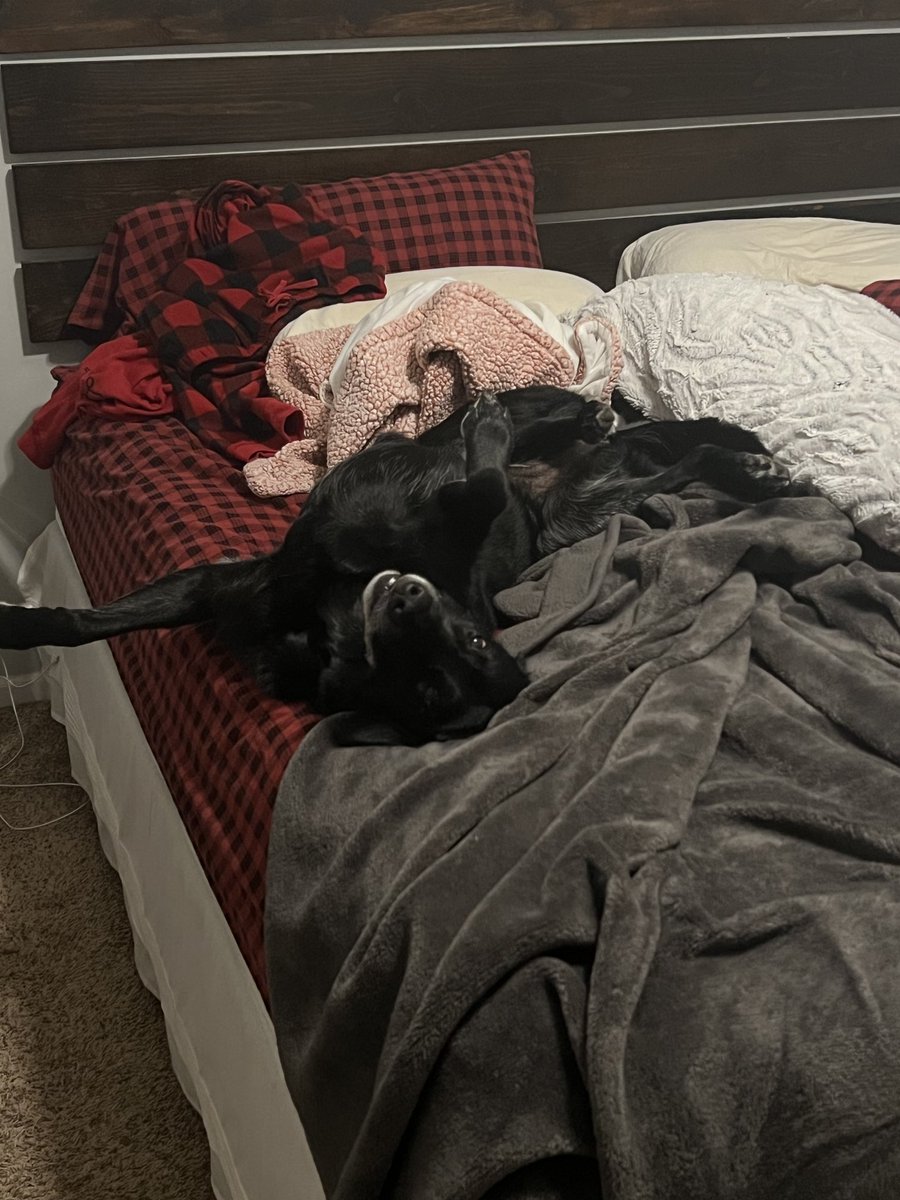 Matt Yops tweet media