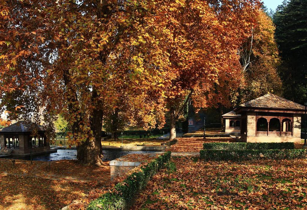 JihadKash18's tweet photo. Experience the magic of fall in Kashmir.
#kashmir https://t.co/E7wAW5FmN6