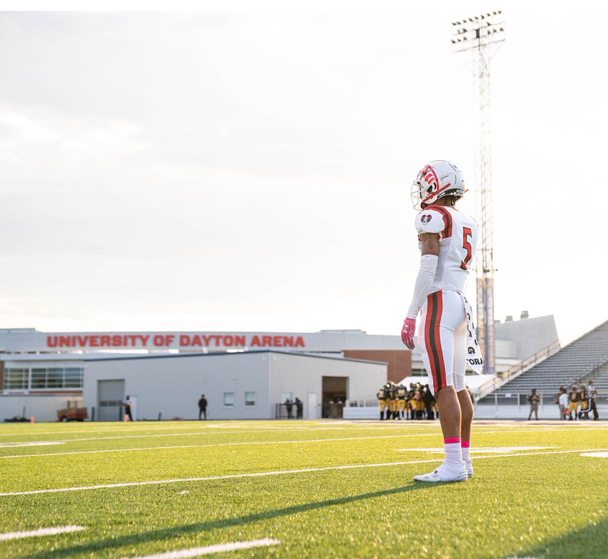 Quinten_2 tweet media