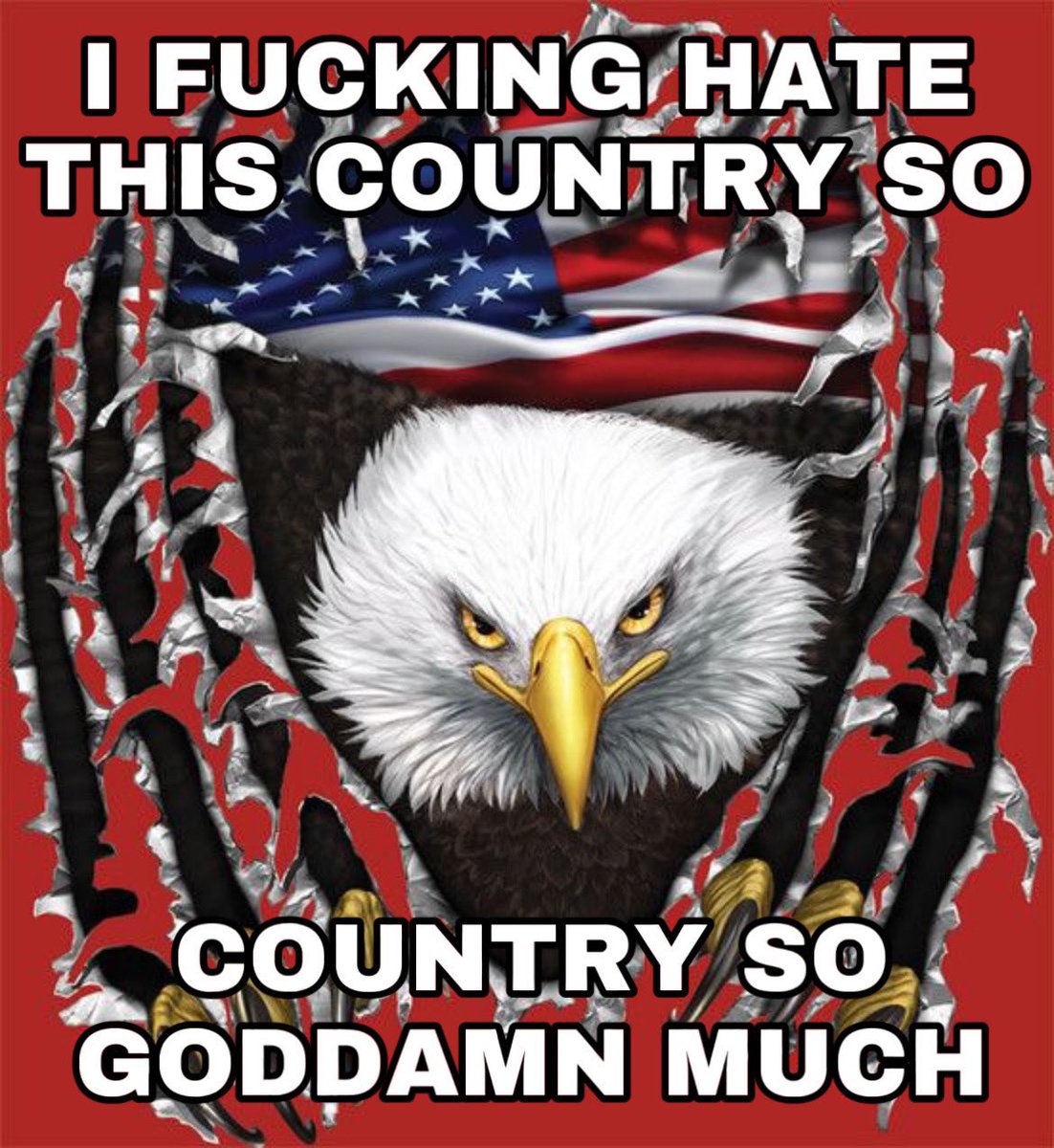 webkinz milk cat tweet media