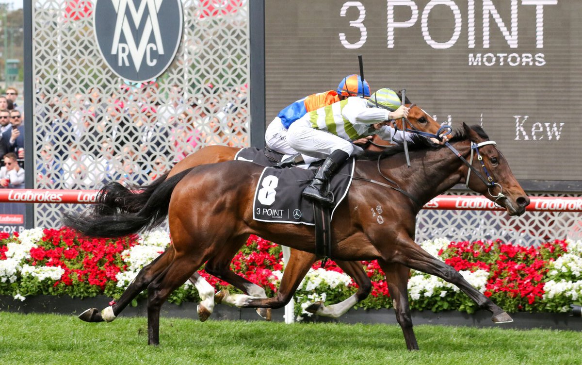 Racing Previews tweet media