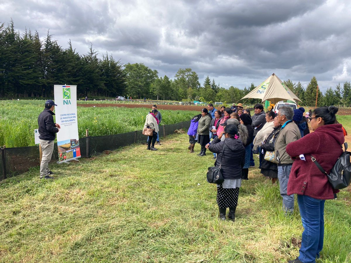 RavilesR's tweet photo. Agricultore/as de #Cañete visitan Und. de Trabajo Proyecto @iniachile @gorebiobio "Transf. tecnológica y extensión agropecuaria productores de Prov. de Arauco" en CET Cañete de @Gendarmeria_CL. Cultivos, biopreparados y prod. de hortalizas y frutales con enfoque agroecológico. https://t.co/0sawL7ZrpZ